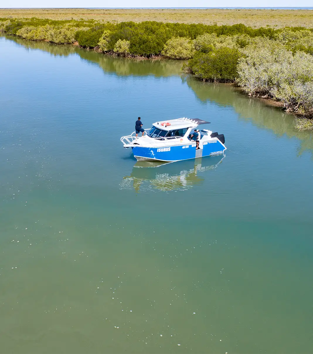 A small blue and white boat moored on a mangrove estuary.